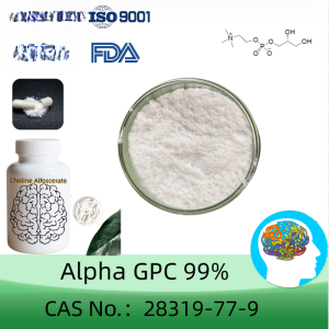 Choline Alfoscerate(Alpha GPC) powder manufacturer CAS No.: 28319-77-9 99.0%,50.0% purity min. for supplement ingredients