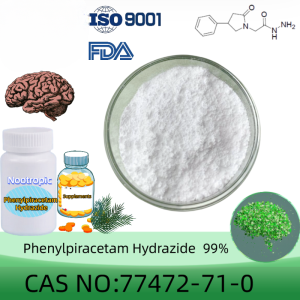 Phenylpiracetam Hydrazide powder manufacturer CAS No.: 77472-71-0 99% purity min. for supplement ingredients