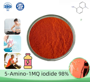 5-Amino-1-mq_iodide_98%