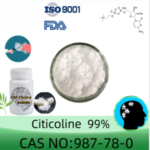 Citicoline (CDP-Choline) powder manufacturer CAS No.: 987-78-0 98% purity min. for supplement ingredients