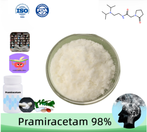 Pramiracetam – ≥ 98.0% purity. CAS 68497-62-1