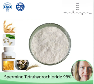 Spermine Tetrahydrochloride（SPT） – ≥ 98.0% purity. CAS 306-67-2