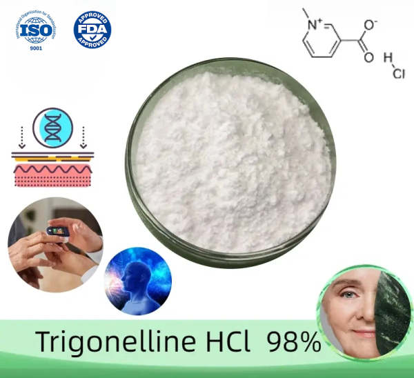Trigonelline_HCl_98%