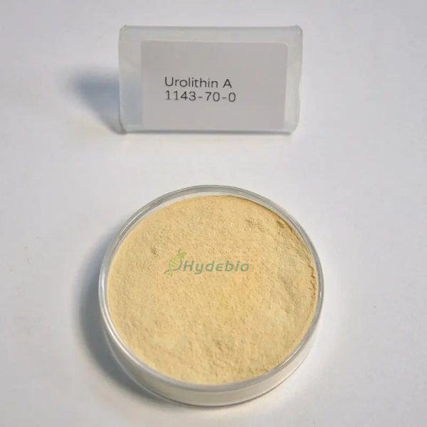 Urolithin A – ≥ 98.0% purity. CAS 1143-70-0 - Image 2