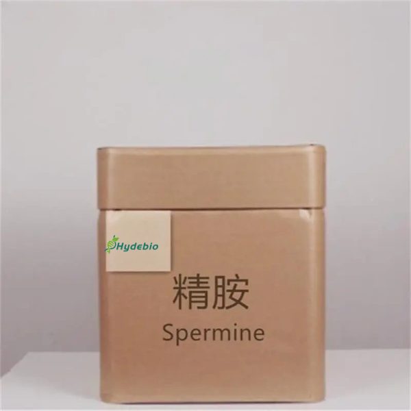 spermine