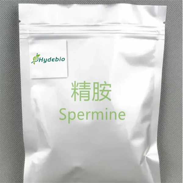 spermine