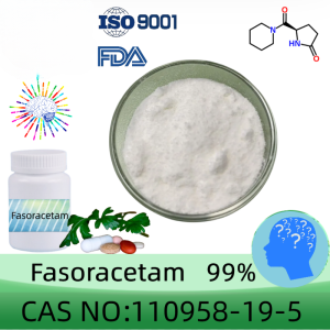 Fasoracetam powder manufacturer CAS No.: 110958-19-5 99% purity min. for supplement ingredients