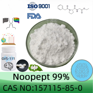 Noopept（GVS-111) powder manufacturer CAS No.: 157115-85-0 99% purity min. for supplement ingredients