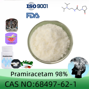 Pramiracetam powder manufacturer CAS No.: 68497-62-1 98% purity min. for supplement ingredients