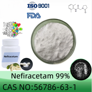 Nefiracetam powder manufacturer CAS No.: 77191-36-7 99% purity min. for supplement ingredients