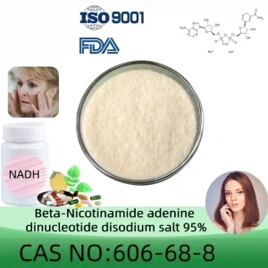 Beta-Nicotinamide adenine dinucleotide disodium salt (NADH) powder manufacturer CAS No. : 606-68-8 95% purity min. Bulk supplements ingredients