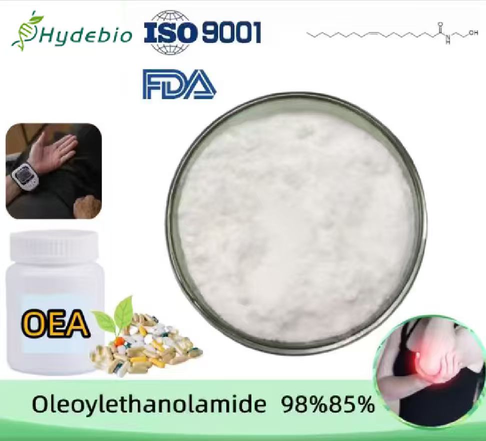 Oleoylethanolamide (OEA) Powder, ≥98% or ≥ 85% Purity. CAS No. 111-58-0