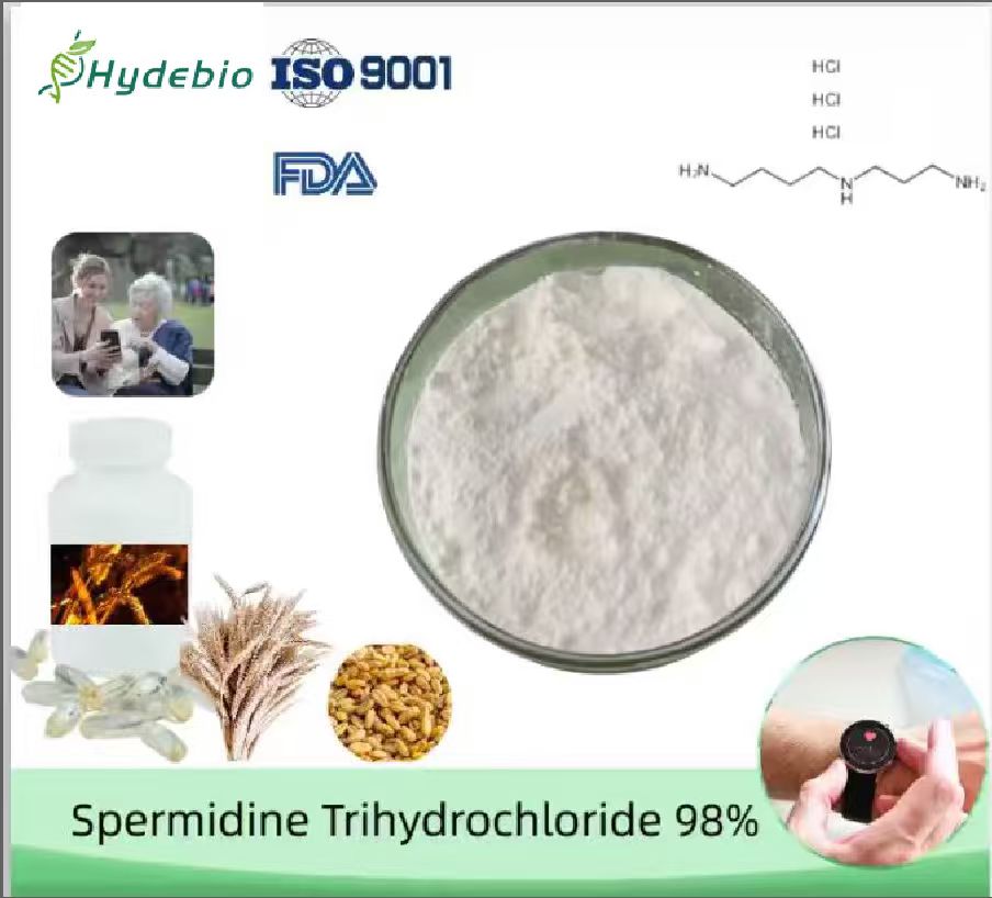 Spermidine Trihydrochloride, ≥ 98.0% Purity. CAS No. 334-50-9-0