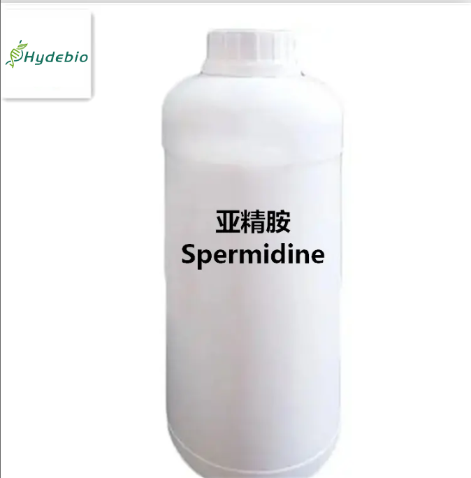 Spermidine, ≥ 98% purity. CAS No. 124-20-9 - Image 3