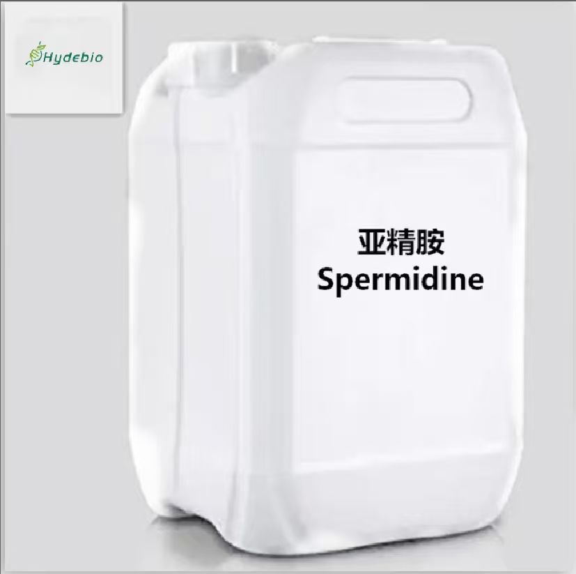 Spermidine, ≥ 98% purity. CAS No. 124-20-9 - Image 4